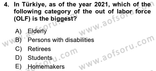 Labor Economics Dersi 2024 - 2025 Yılı (Vize) Ara Sınav Soruları 4. Soru