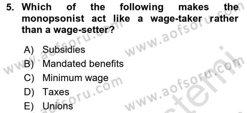 Labor Economics Dersi 2024 - 2025 Yılı (Vize) Ara Sınav Soruları 5. Soru