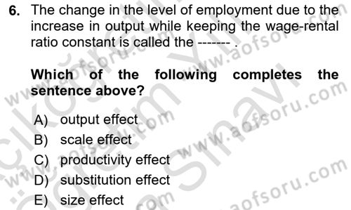 Labor Economics Dersi 2024 - 2025 Yılı (Vize) Ara Sınav Soruları 6. Soru