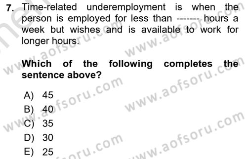 Labor Economics Dersi 2024 - 2025 Yılı (Vize) Ara Sınav Soruları 7. Soru