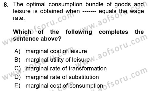 Labor Economics Dersi 2024 - 2025 Yılı (Vize) Ara Sınav Soruları 8. Soru