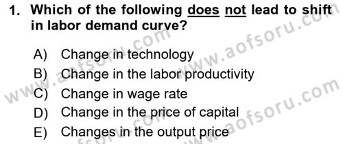 Labor Economics Dersi 2024 - 2025 Yılı (Final) Dönem Sonu Sınav Soruları 1. Soru