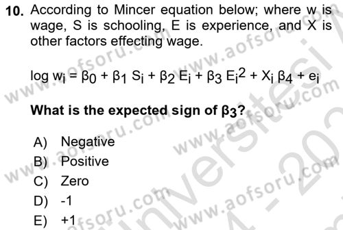 Labor Economics Dersi 2024 - 2025 Yılı (Final) Dönem Sonu Sınav Soruları 10. Soru