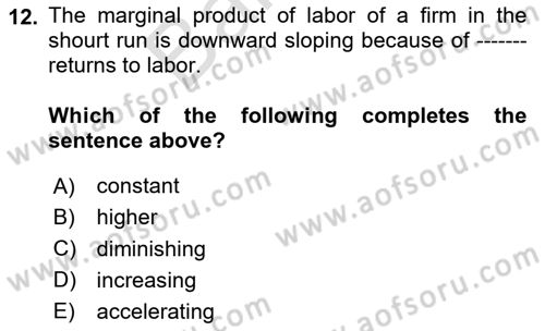 Labor Economics Dersi 2024 - 2025 Yılı (Final) Dönem Sonu Sınav Soruları 12. Soru
