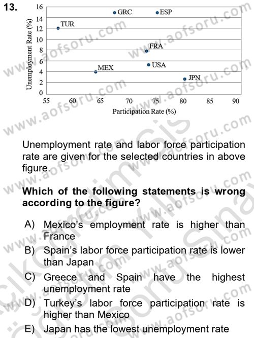 Labor Economics Dersi 2024 - 2025 Yılı (Final) Dönem Sonu Sınav Soruları 13. Soru