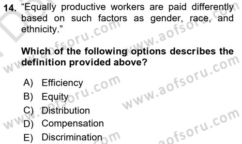 Labor Economics Dersi 2024 - 2025 Yılı (Final) Dönem Sonu Sınav Soruları 14. Soru