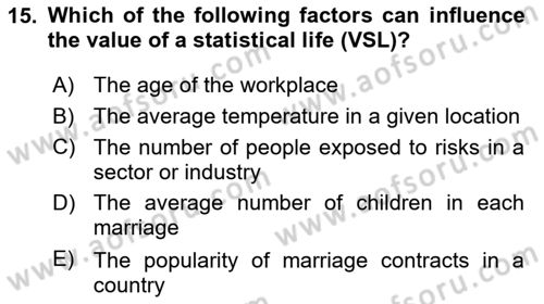 Labor Economics Dersi 2024 - 2025 Yılı (Final) Dönem Sonu Sınav Soruları 15. Soru