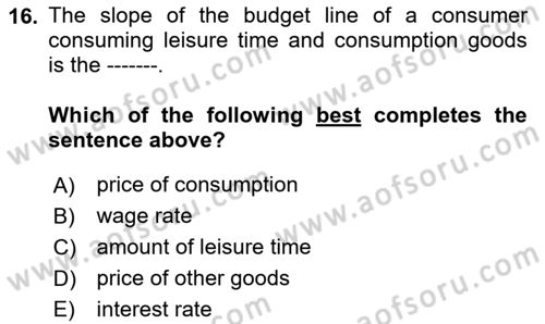 Labor Economics Dersi 2024 - 2025 Yılı (Final) Dönem Sonu Sınav Soruları 16. Soru