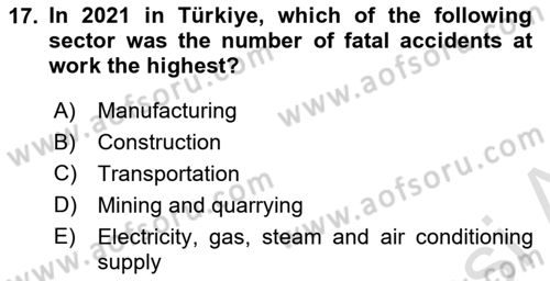 Labor Economics Dersi 2024 - 2025 Yılı (Final) Dönem Sonu Sınav Soruları 17. Soru