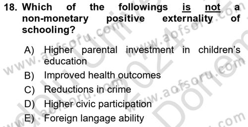 Labor Economics Dersi 2024 - 2025 Yılı (Final) Dönem Sonu Sınav Soruları 18. Soru