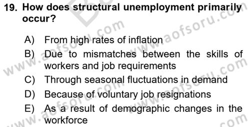 Labor Economics Dersi 2024 - 2025 Yılı (Final) Dönem Sonu Sınav Soruları 19. Soru