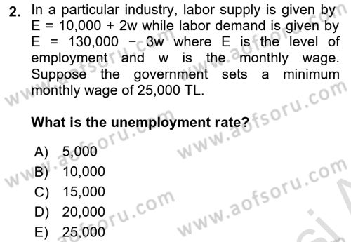 Labor Economics Dersi 2024 - 2025 Yılı (Final) Dönem Sonu Sınav Soruları 2. Soru