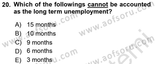 Labor Economics Dersi 2024 - 2025 Yılı (Final) Dönem Sonu Sınav Soruları 20. Soru