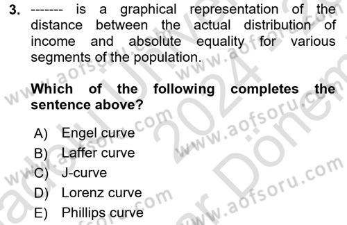 Labor Economics Dersi 2024 - 2025 Yılı (Final) Dönem Sonu Sınav Soruları 3. Soru
