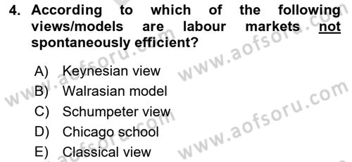 Labor Economics Dersi 2024 - 2025 Yılı (Final) Dönem Sonu Sınav Soruları 4. Soru