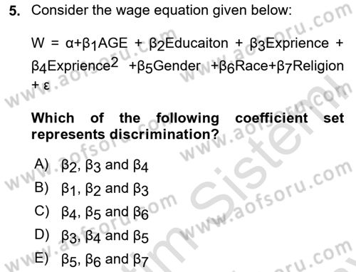 Labor Economics Dersi 2024 - 2025 Yılı (Final) Dönem Sonu Sınav Soruları 5. Soru