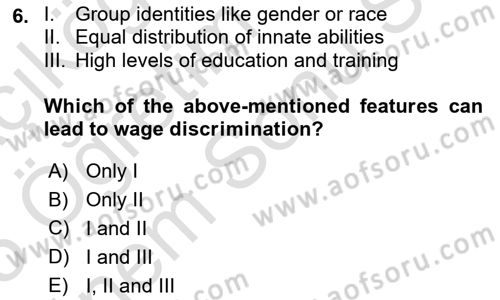 Labor Economics Dersi 2024 - 2025 Yılı (Final) Dönem Sonu Sınav Soruları 6. Soru