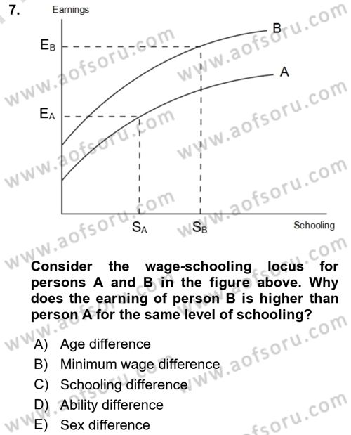Labor Economics Dersi 2024 - 2025 Yılı (Final) Dönem Sonu Sınav Soruları 7. Soru