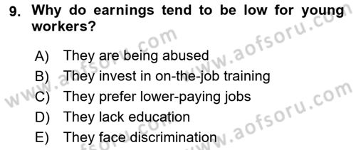 Labor Economics Dersi 2024 - 2025 Yılı (Final) Dönem Sonu Sınav Soruları 9. Soru