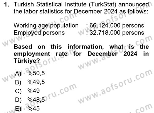 Labor Economics Dersi 2024 - 2025 Yılı Yaz Okulu Sınav Soruları 1. Soru