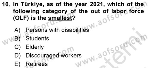 Labor Economics Dersi 2024 - 2025 Yılı Yaz Okulu Sınav Soruları 10. Soru