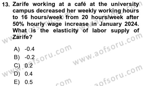 Labor Economics Dersi 2024 - 2025 Yılı Yaz Okulu Sınav Soruları 13. Soru