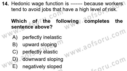 Labor Economics Dersi 2024 - 2025 Yılı Yaz Okulu Sınav Soruları 14. Soru