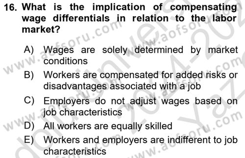 Labor Economics Dersi 2024 - 2025 Yılı Yaz Okulu Sınav Soruları 16. Soru