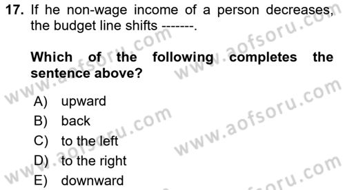 Labor Economics Dersi 2024 - 2025 Yılı Yaz Okulu Sınav Soruları 17. Soru