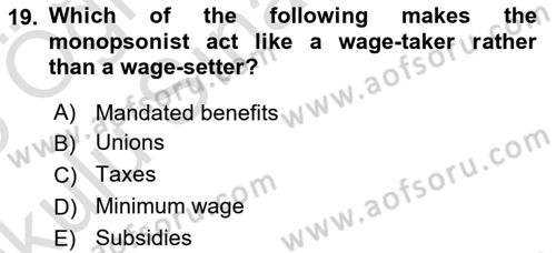 Labor Economics Dersi 2024 - 2025 Yılı Yaz Okulu Sınav Soruları 19. Soru