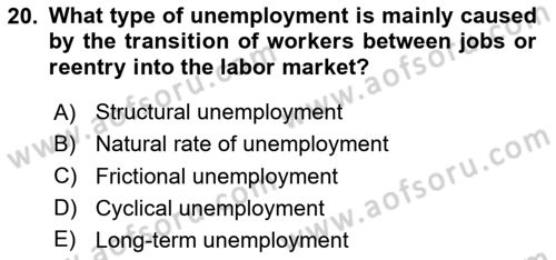 Labor Economics Dersi 2024 - 2025 Yılı Yaz Okulu Sınav Soruları 20. Soru