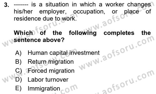 Labor Economics Dersi 2024 - 2025 Yılı Yaz Okulu Sınav Soruları 3. Soru