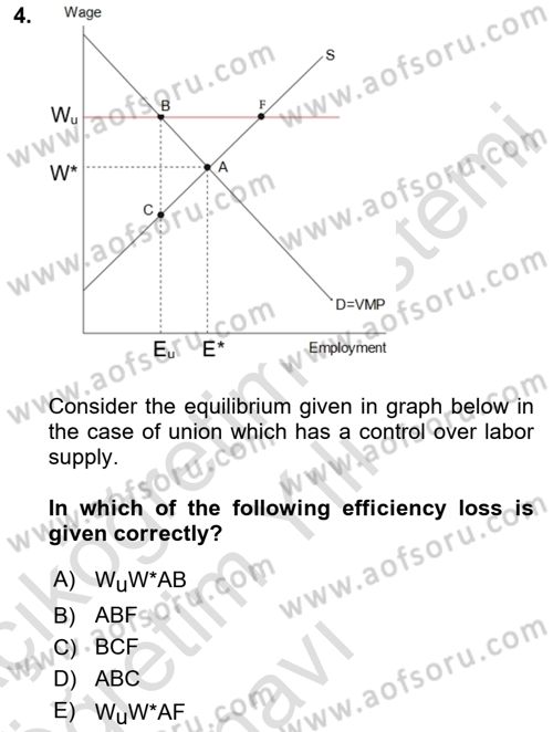 Labor Economics Dersi 2024 - 2025 Yılı Yaz Okulu Sınav Soruları 4. Soru