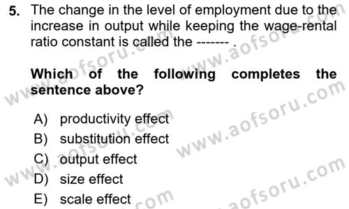 Labor Economics Dersi 2024 - 2025 Yılı Yaz Okulu Sınav Soruları 5. Soru