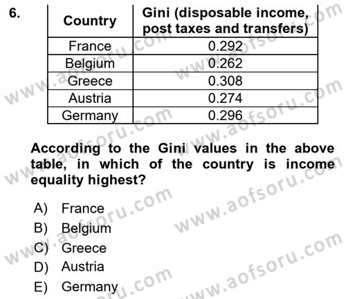 Labor Economics Dersi 2024 - 2025 Yılı Yaz Okulu Sınav Soruları 6. Soru