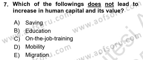 Labor Economics Dersi 2024 - 2025 Yılı Yaz Okulu Sınav Soruları 7. Soru