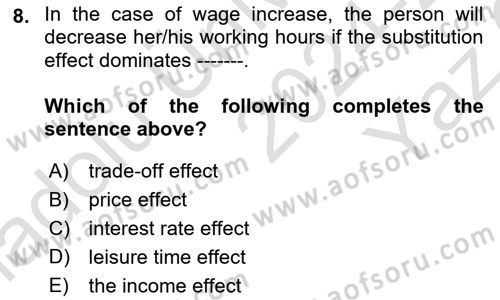 Labor Economics Dersi 2024 - 2025 Yılı Yaz Okulu Sınav Soruları 8. Soru