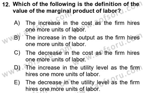 Labor Economics Dersi 2025 - 2026 Yılı (Vize) Ara Sınav Soruları 12. Soru