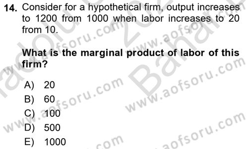 Labor Economics Dersi 2025 - 2026 Yılı (Vize) Ara Sınav Soruları 14. Soru