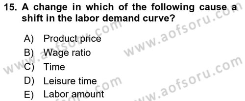 Labor Economics Dersi 2025 - 2026 Yılı (Vize) Ara Sınav Soruları 15. Soru