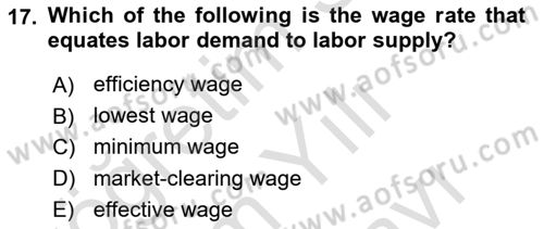 Labor Economics Dersi 2025 - 2026 Yılı (Vize) Ara Sınav Soruları 17. Soru
