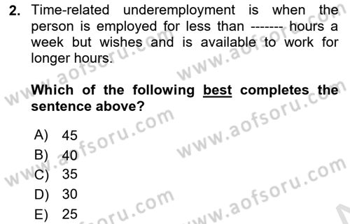 Labor Economics Dersi 2025 - 2026 Yılı (Vize) Ara Sınav Soruları 2. Soru