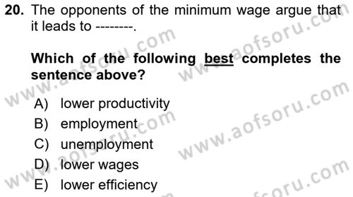 Labor Economics Dersi 2025 - 2026 Yılı (Vize) Ara Sınav Soruları 20. Soru