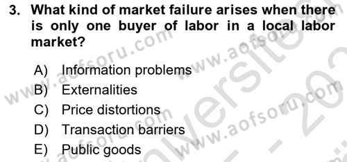 Labor Economics Dersi 2025 - 2026 Yılı (Vize) Ara Sınav Soruları 3. Soru