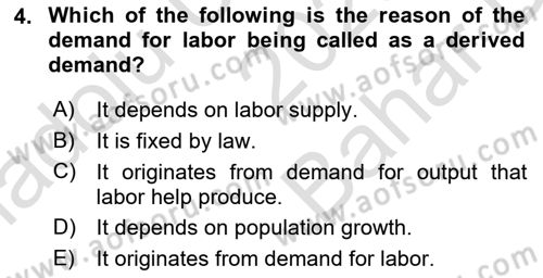 Labor Economics Dersi 2025 - 2026 Yılı (Vize) Ara Sınav Soruları 4. Soru