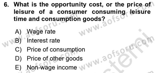 Labor Economics Dersi 2025 - 2026 Yılı (Vize) Ara Sınav Soruları 6. Soru