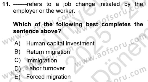 Labor Economics Dersi 2025 - 2026 Yılı (Final) Dönem Sonu Sınav Soruları 11. Soru