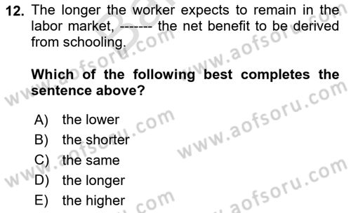 Labor Economics Dersi 2025 - 2026 Yılı (Final) Dönem Sonu Sınav Soruları 12. Soru