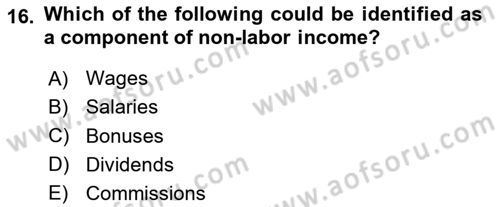 Labor Economics Dersi 2025 - 2026 Yılı (Final) Dönem Sonu Sınav Soruları 16. Soru