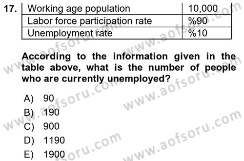 Labor Economics Dersi 2025 - 2026 Yılı (Final) Dönem Sonu Sınav Soruları 17. Soru